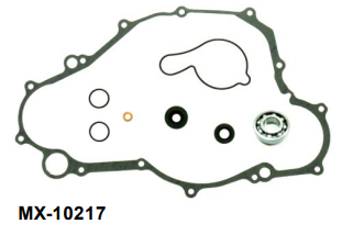 Yamaha Water Pump Seal Kit
