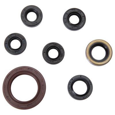 TUSK Arctic Cat Engine Oil Seal Kit - EMD Online
