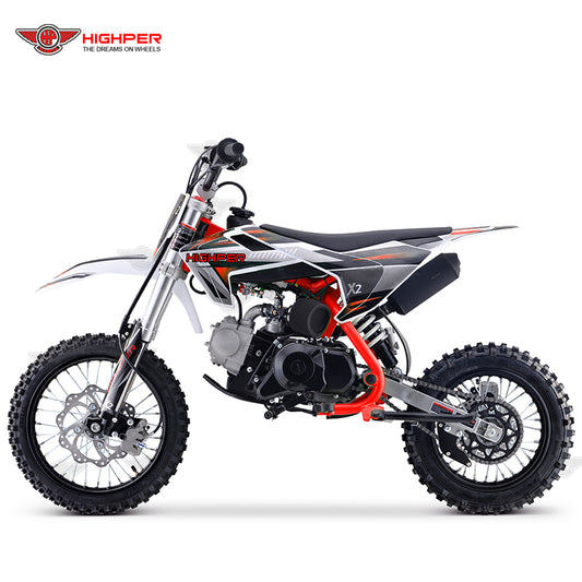 110CC 4Stroke Gas Dirt Bike