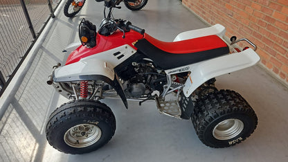 2001 Yamaha Warrior 350