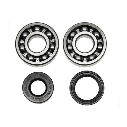 Kawasaki Main Bearings