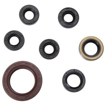 TUSK Arctic Cat Engine Oil Seal Kit - EMD Online